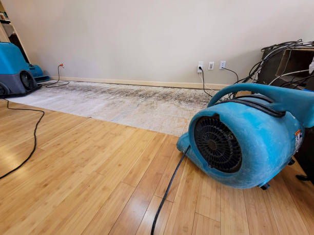 Professional Water Damage Repair technician working in Washburn, ND